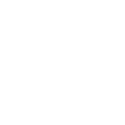 casino logo