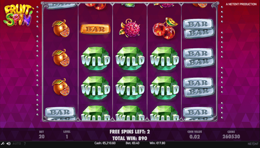 wild symbols slot game